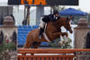 with Kathrin Newman in tack won numerous \"Champion\" title and left the Florida circuit 2008 with the \"Circuit Champion\" ribbon in the \"Large Juniors\".