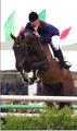 has besides his excellent performance record, top offspring successful jumping around at international level..