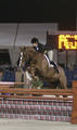  with Maria Takacs on board won innumerable times the title \"Great Grand Hunter Champion\" in the amateur divisions.