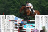 and Kevin Babington seem to be a successful horse/rider combination. You Tube: CARACAS 49 Kevin Babington 3rd WEF GP 20