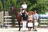 and Kevin Babington, his new owner and rider, won a Grand Prix class at the  2008 Vermont circuit.