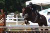 again with Bruce in tack on their way into the ribbons.
