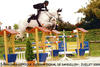 with incredible power and style in the international jumper ring. 