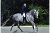 Ironman\'s offspring exhibit his winning ways in the hunter / jumper rings as well as in the dressage arena.