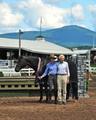 being champion at the traditional horse show at Lake Placid 2011.