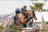 , is by Pablo and got his first mileage in the jumper classes in Germany. He ajusted to the hunter training from the very first beginning.