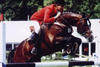 jumped at international level with Emil Hendrix. With Jos Lansink on board they won the World Cup qualifier in Berlin