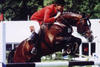 Voltaire jumped at international level with Emil Hendrix. With Jos Lansink on board they won the World Cup qualifier in Berlin