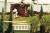 at his first WEF in Florida; later he continued with great success in the \"Amateur Owner\" division with Tracy Sheriff in tack.
