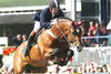 has the same dam sire Beach Boy. Arko competed successful in international Grand Prix classes and at the Olympic Games in Athens 2004, with Nick Skelton / Great Britain.