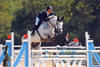 is a jumper for the real big courses. He is very nice to ride and always jumps with a close to perfect style and form.