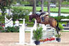 , winning the \"Working Hunter\" classes, with Holly Orlando in tack.