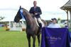 and Todd won a 3*CSI World Cup Qualifier at WEF Wellington / USA.
