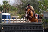  here in the \"warm up\" class with Jay on board; a day later they won the \"First Year\" class.!