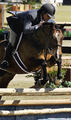 finished \"Reserve Champion\" at the Tryon Summer Classic, a few month ago with Bruce in tack.